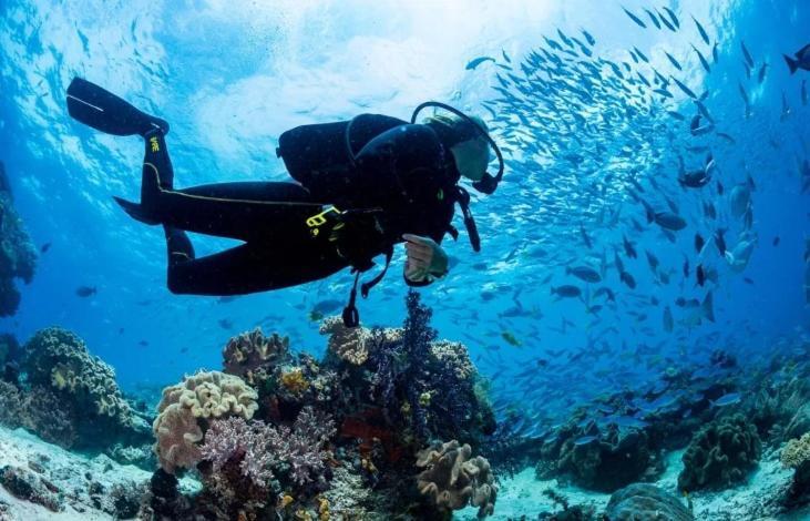 Faro Cabo De Palos Dış mekan fotoğraf